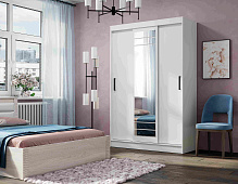 шкаф-купе, Шкаф-купе  Тео  ШКК-02